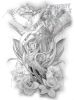 Available Custom Designs